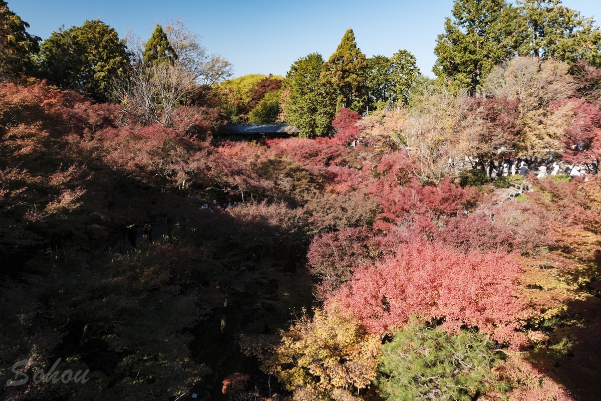 Tofuku-ji, autumn leaves