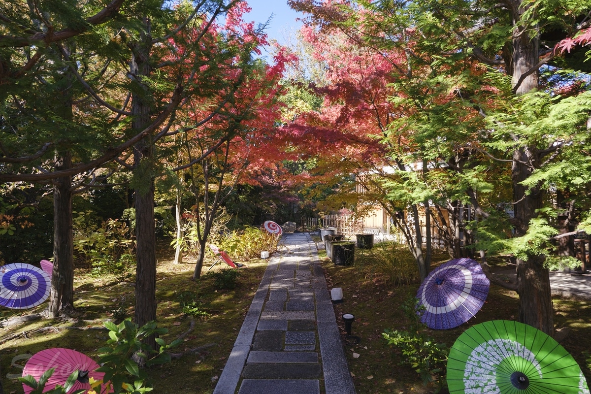 Shorin-ji Temple in Kyoto